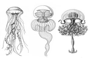Golden medusas jellyfish design rompe mar pisco